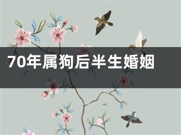 70年属狗后半生婚姻