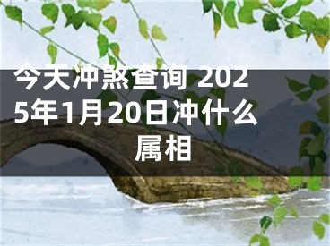 今天冲煞查询 2025年1月20日冲什么属相