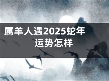 属羊人遇2025蛇年运势怎样