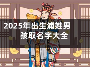 2025年出生浦姓男孩取名字大全