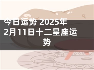 今日运势 2025年2月11日十二星座运势