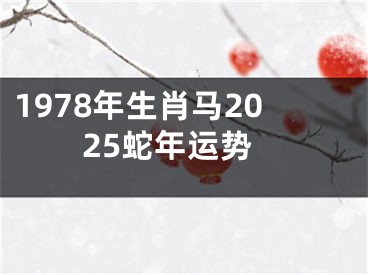 1978年生肖马2025蛇年运势
