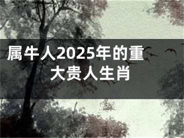 属牛人2025年的重大贵人生肖