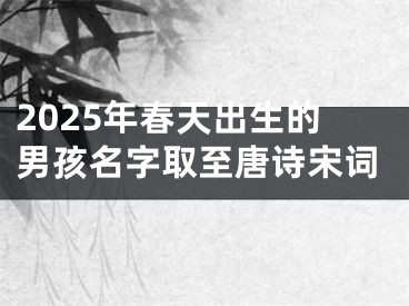 2025年春天出生的男孩名字取至唐诗宋词