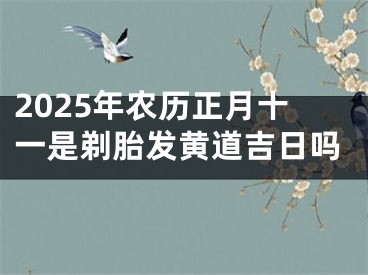 2025年农历正月十一是剃胎发黄道吉日吗