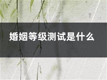 婚姻等级测试是什么