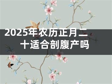 2025年农历正月二十适合剖腹产吗