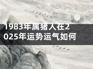 1983年属猪人在2025年运势运气如何