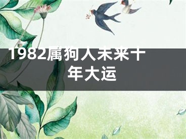 1982属狗人未来十年大运