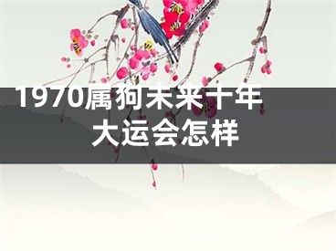 1970属狗未来十年大运会怎样