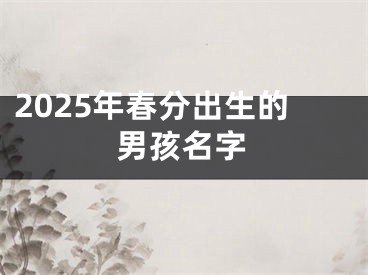 2025年春分出生的男孩名字