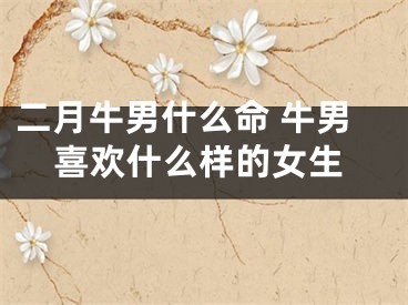 二月牛男什么命 牛男喜欢什么样的女生