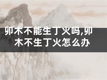 卯木不能生丁火吗,卯木不生丁火怎么办