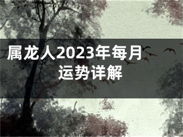 属龙人2023年每月运势详解