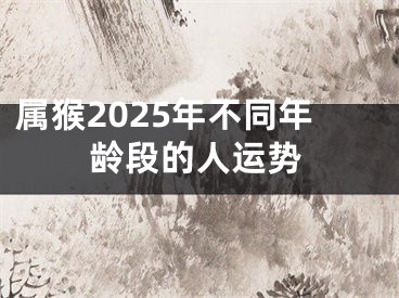 属猴2025年不同年龄段的人运势