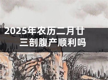 2025年农历二月廿三剖腹产顺利吗