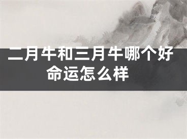 二月牛和三月牛哪个好 命运怎么样