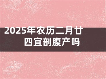 2025年农历二月廿四宜剖腹产吗