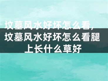 坟墓风水好坏怎么看,坟墓风水好坏怎么看腿上长什么草好
