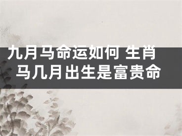 九月马命运如何 生肖马几月出生是富贵命