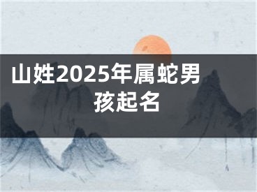 山姓2025年属蛇男孩起名