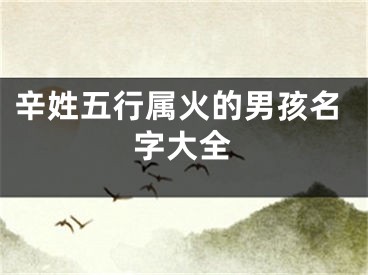 辛姓五行属火的男孩名字大全
