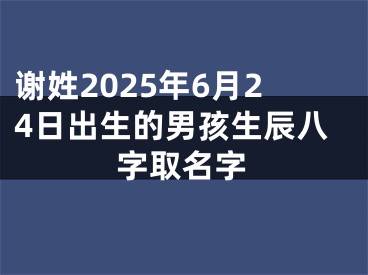 谢姓2025年6月24日出生的男孩生辰八字取名字