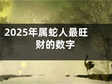 2025年属蛇人最旺财的数字