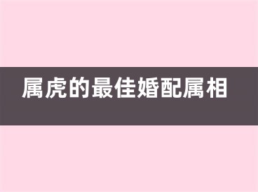 属虎的最佳婚配属相