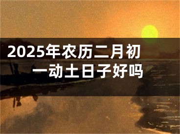 2025年农历二月初一动土日子好吗