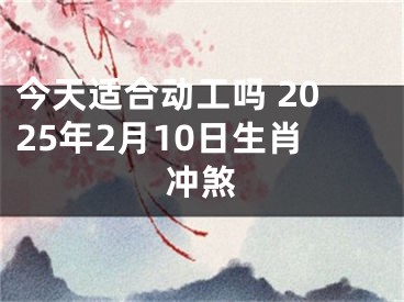 今天适合动工吗 2025年2月10日生肖冲煞