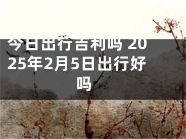 今日出行吉利吗 2025年2月5日出行好吗 