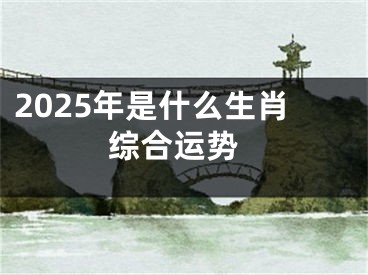 2025年是什么生肖 综合运势