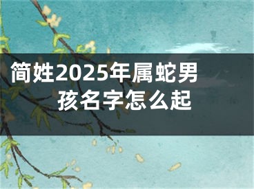 简姓2025年属蛇男孩名字怎么起