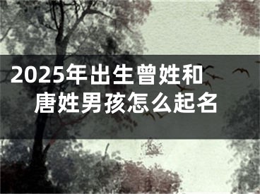2025年出生曾姓和唐姓男孩怎么起名
