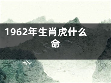 1962年生肖虎什么命
