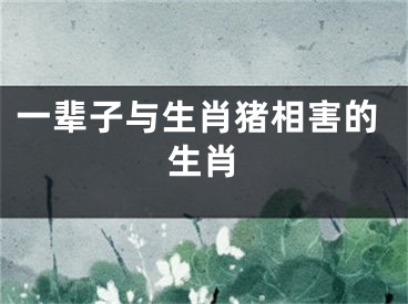 一辈子与生肖猪相害的生肖