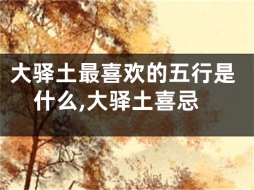 大驿土最喜欢的五行是什么,大驿土喜忌