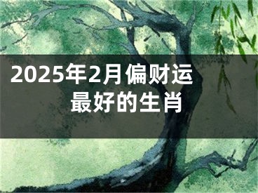 2025年2月偏财运最好的生肖