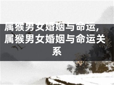 属猴男女婚姻与命运,属猴男女婚姻与命运关系