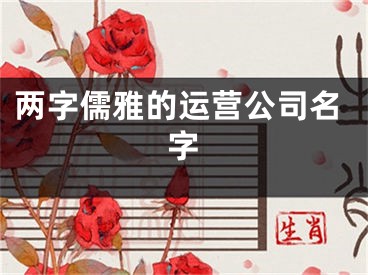 两字儒雅的运营公司名字