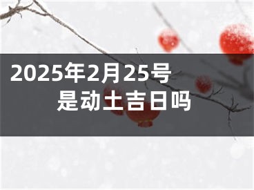 2025年2月25号是动土吉日吗