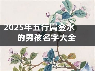 2025年五行属金水的男孩名字大全