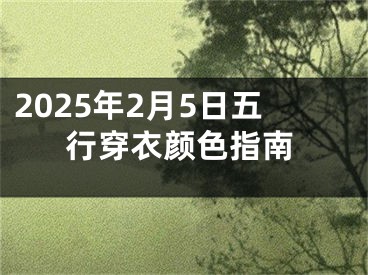 2025年2月5日五行穿衣颜色指南