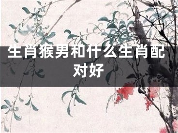 生肖猴男和什么生肖配对好
