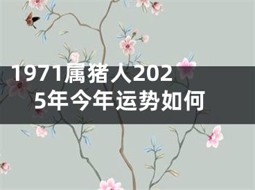 1971属猪人2025年今年运势如何