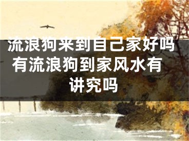 流浪狗来到自己家好吗 有流浪狗到家风水有讲究吗
