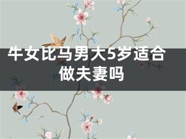 牛女比马男大5岁适合做夫妻吗
