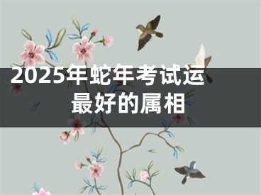 2025年蛇年考试运最好的属相