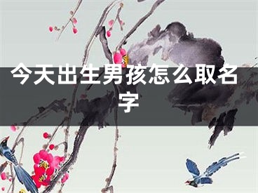 今天出生男孩怎么取名字